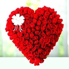 V-Day- Rose Day - 7th Feb