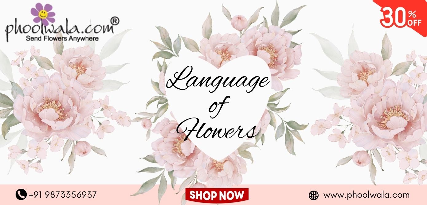 The Language of Flowers: Symbolism and Meaning: Phoolwala