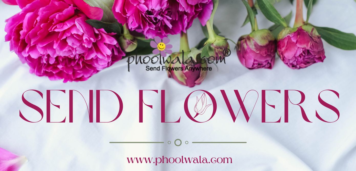 Blossoming Connections: The Power of Online Flower Delivery