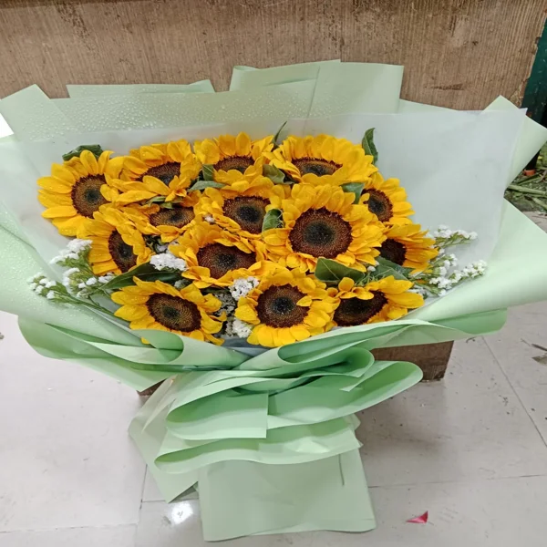 Sunrise Blooms