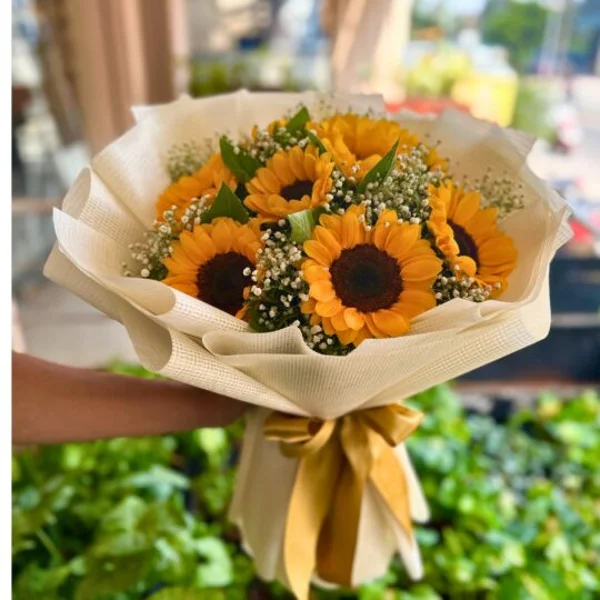 Sunflower Grace
