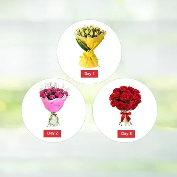 Valentine Roses 3 Days Regular