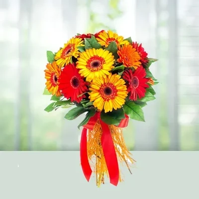 Divine Gerbera