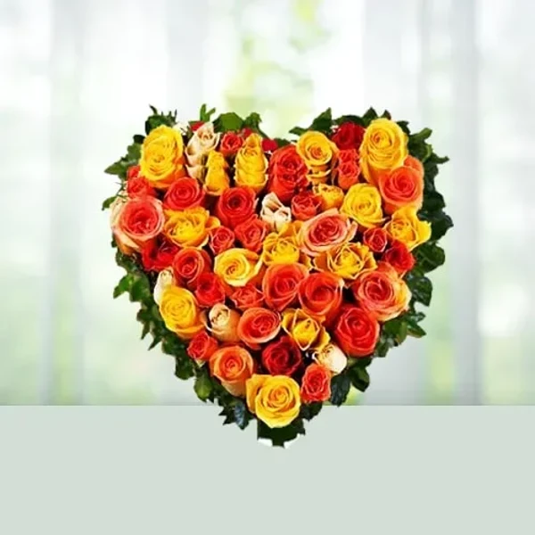 Sunshine Heart