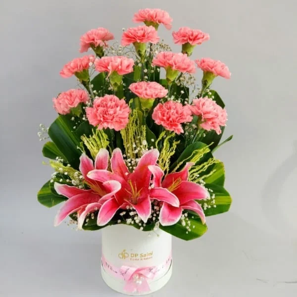 Exclusive Lily N Carnations in Box